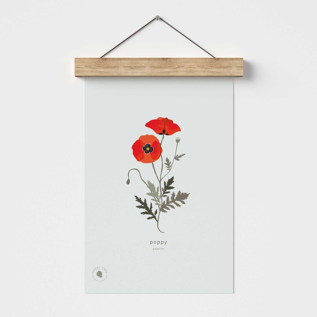 Poppy Art Print in hanger
